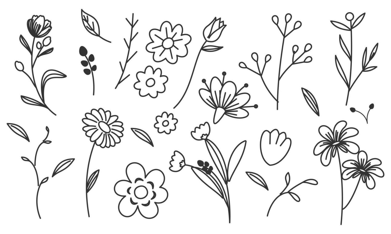 hand- getrokken bloem en takken tekening vector