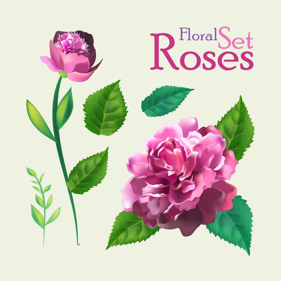 set van botanische roze bloemen. vector