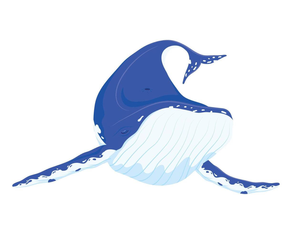 walvis vis zeeleven vector