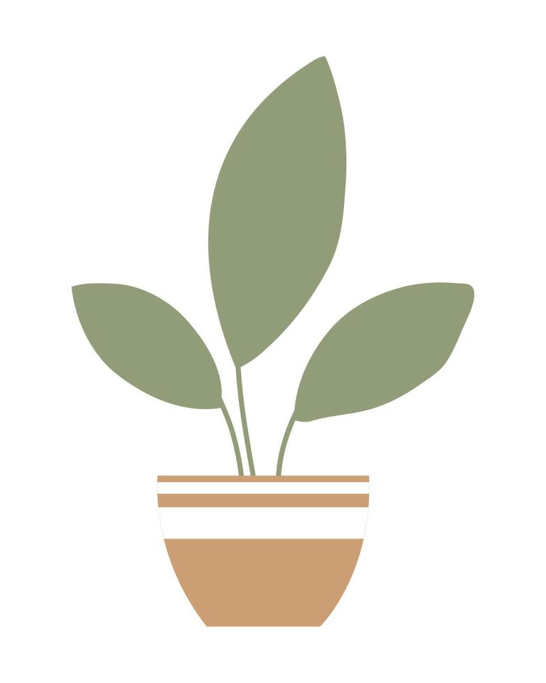 kamerplant in pot vector