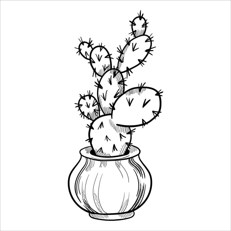 cactus in bloempotten. schets hand- getrokken schetsen vector
