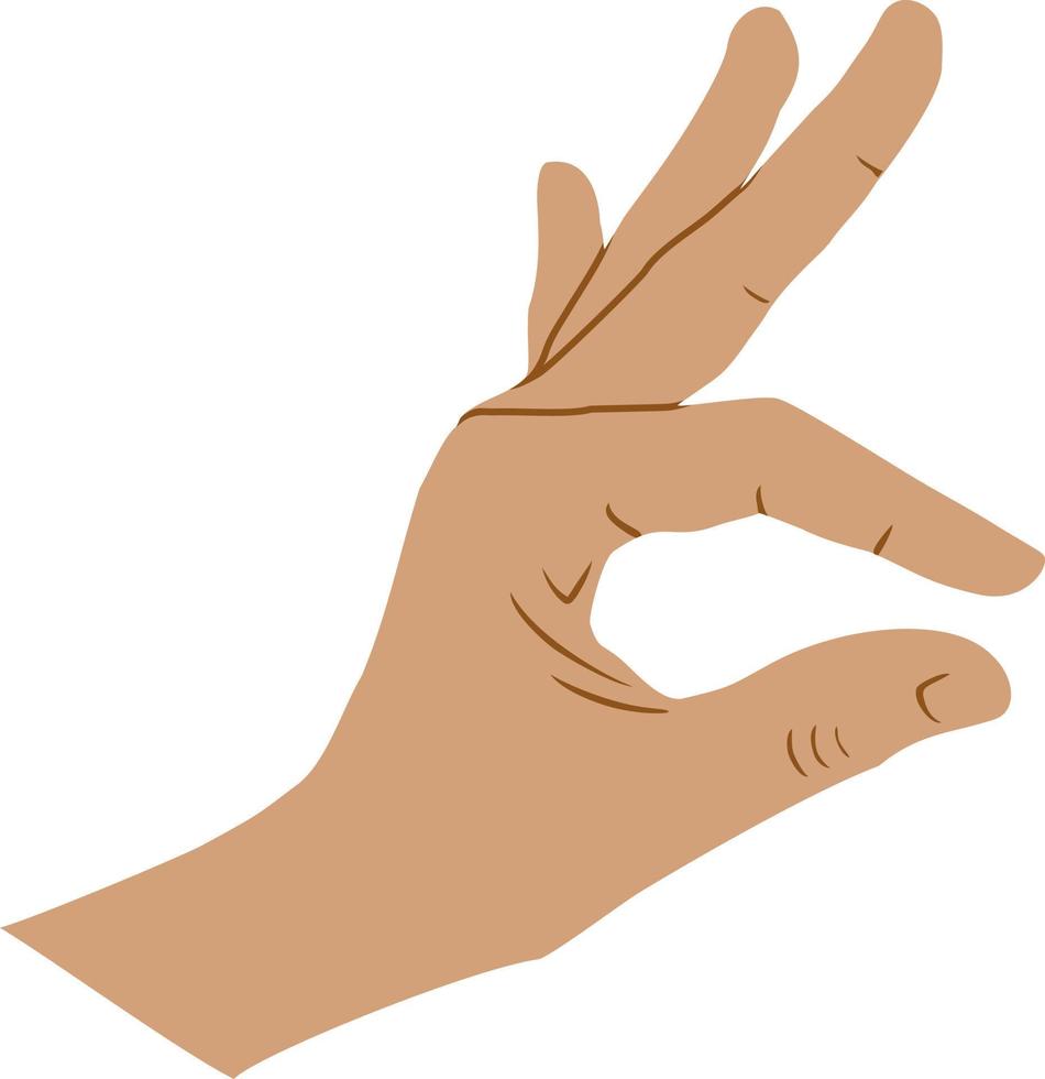 hand- shows klein vingers gebaar vinger hand- teken vector