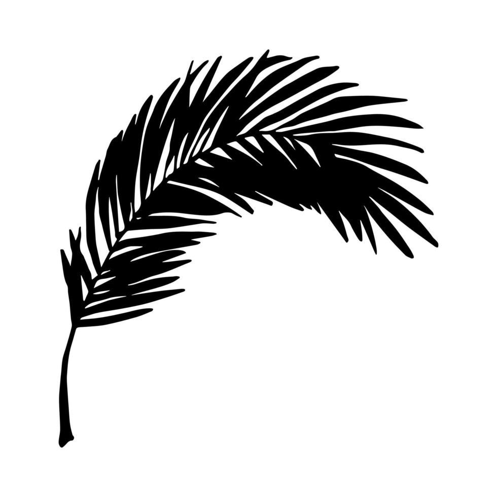 eenvoudige tropische bladillustratie. hand getekende vector clipart. botanische doodle