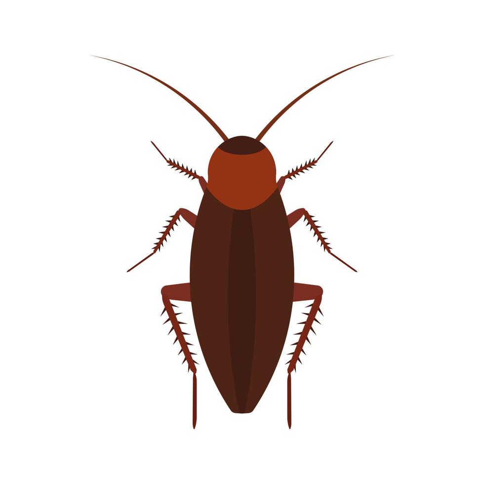 kakkerlak insect vector icoon bovenstaand plaag. bruin dier top visie tekenfilm beestje. vlak lichaam parasiet verontreiniging
