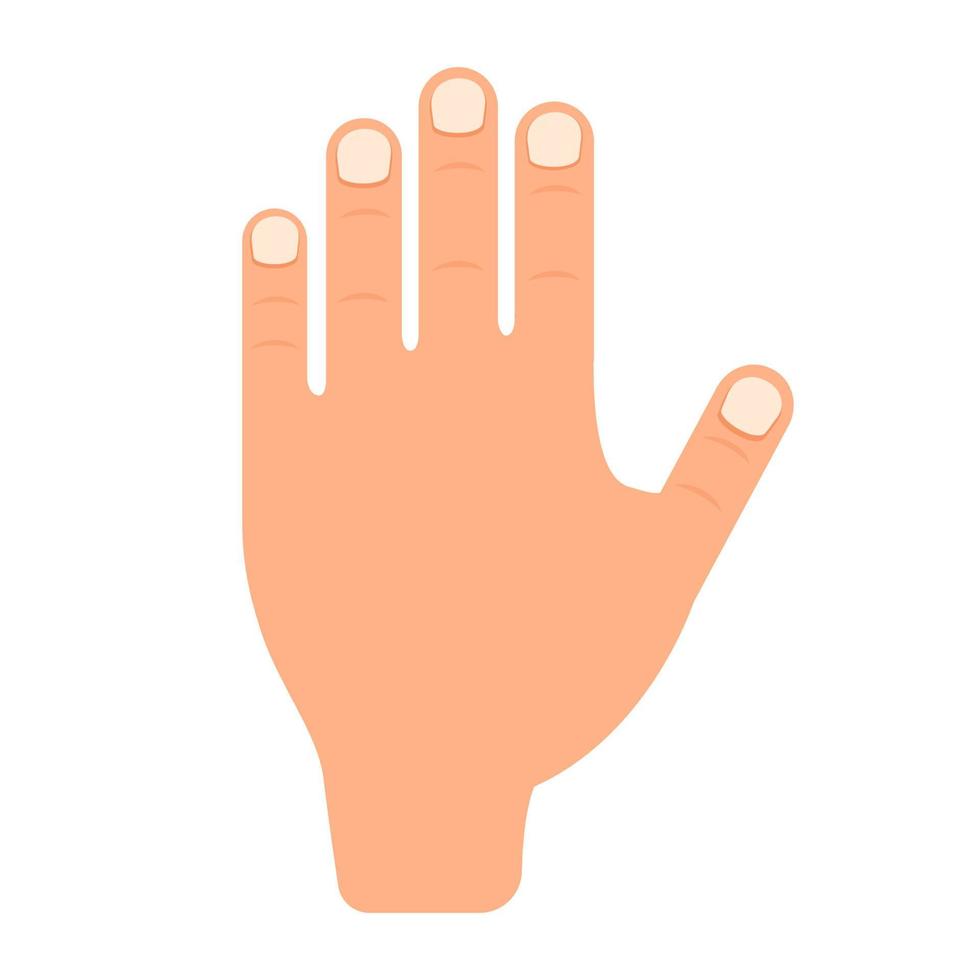 menselijk hand- vector persoon icoon illustratie geïsoleerd wit. duim menselijk hand- silhouet handtekening concept arm groep. tekening mannetje tekenfilm lichaam een deel icoon anatomie gebaren gezondheidszorg kunst