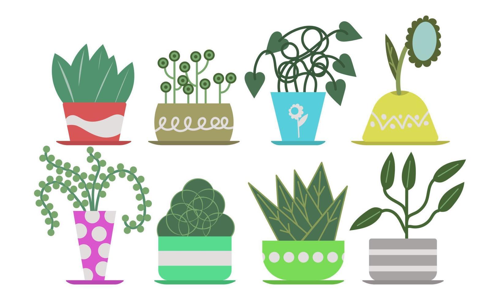 huis fabriek reeks decor oerwoud. huis verzameling planter sappig stedelijk pot vector illustratie. handgemaakt interieur hygge en binnen- kleurrijk tuin. kamerplant met groen bladeren en bloemen zomer bloem