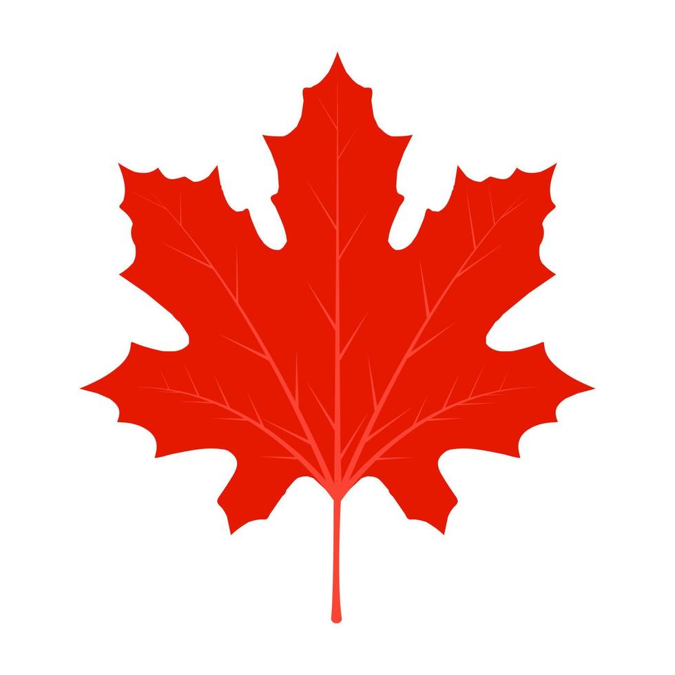 blad rood esdoorn- esdoorn- vector Canada icoon. blad esdoorn- illustratie. blad vector symbool esdoorn. klem kunst blad vector