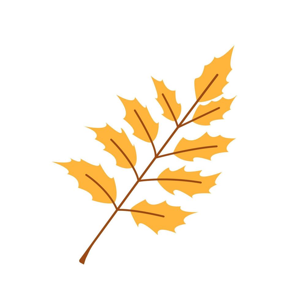 vector geel blad. schattig herfst blad. Afdeling met goud bladeren. val.
