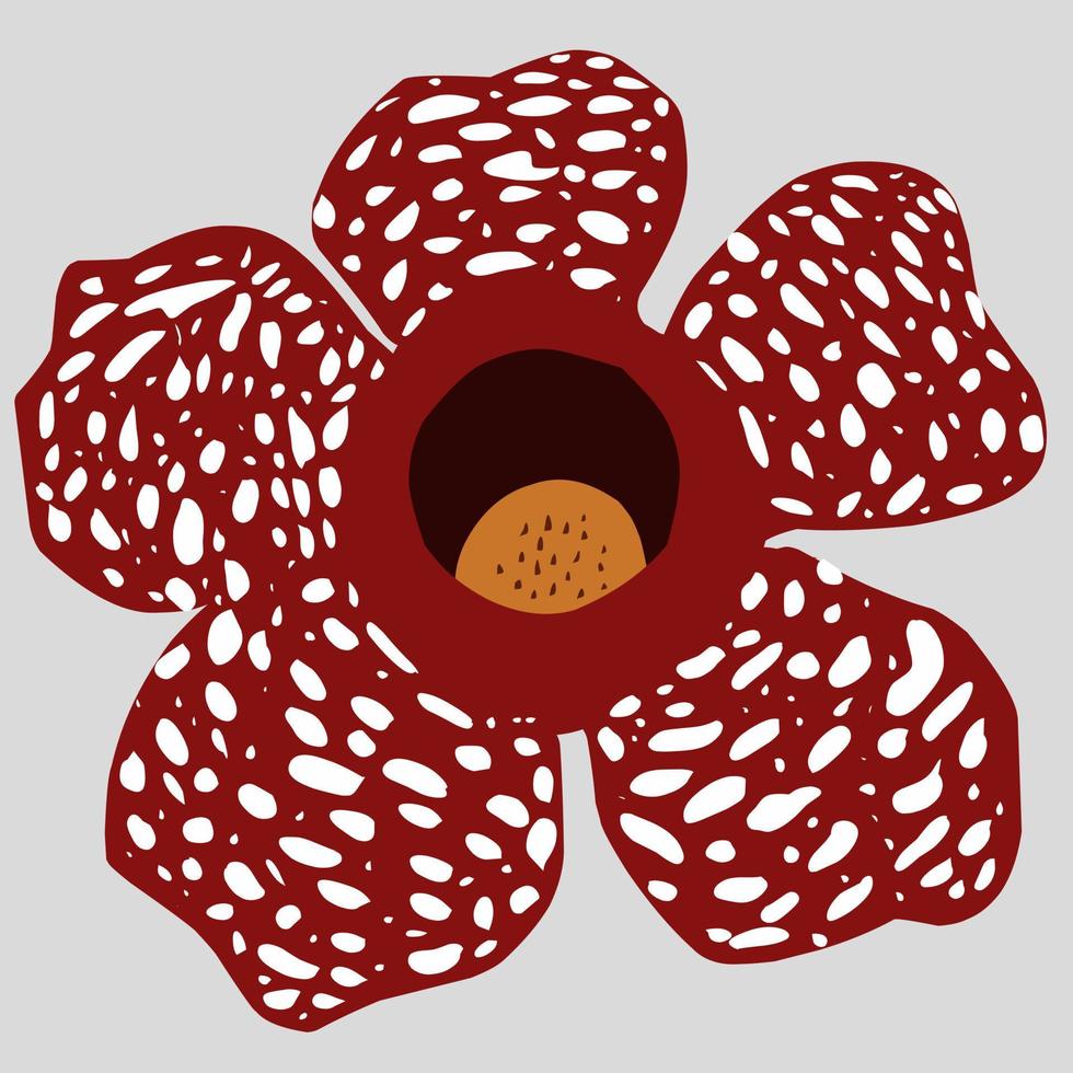 rafflesia Arnoldi bloem, een bijzonder fabriek van Bengkulu Indonesië vector
