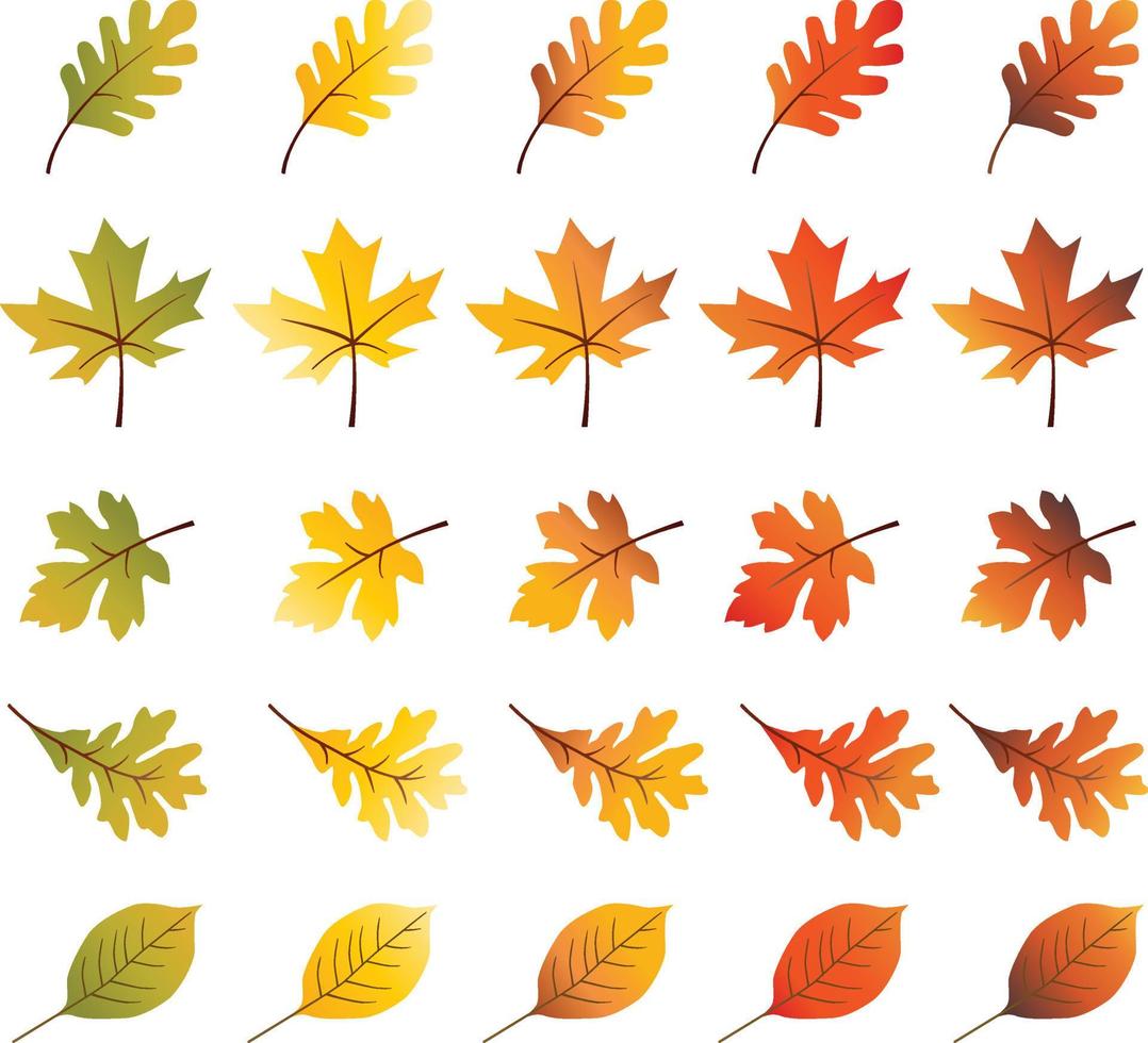 herfst bladeren vector illustraties