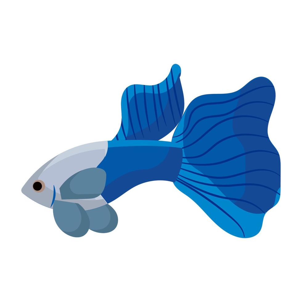 guppy vis aquarium water dier natuur en vector onderwater- aquatisch kunst. tropisch illustratie vis met staart en vin. mooi decoratief veelkleurig huisdier tekening en ichtyologie koraal rif