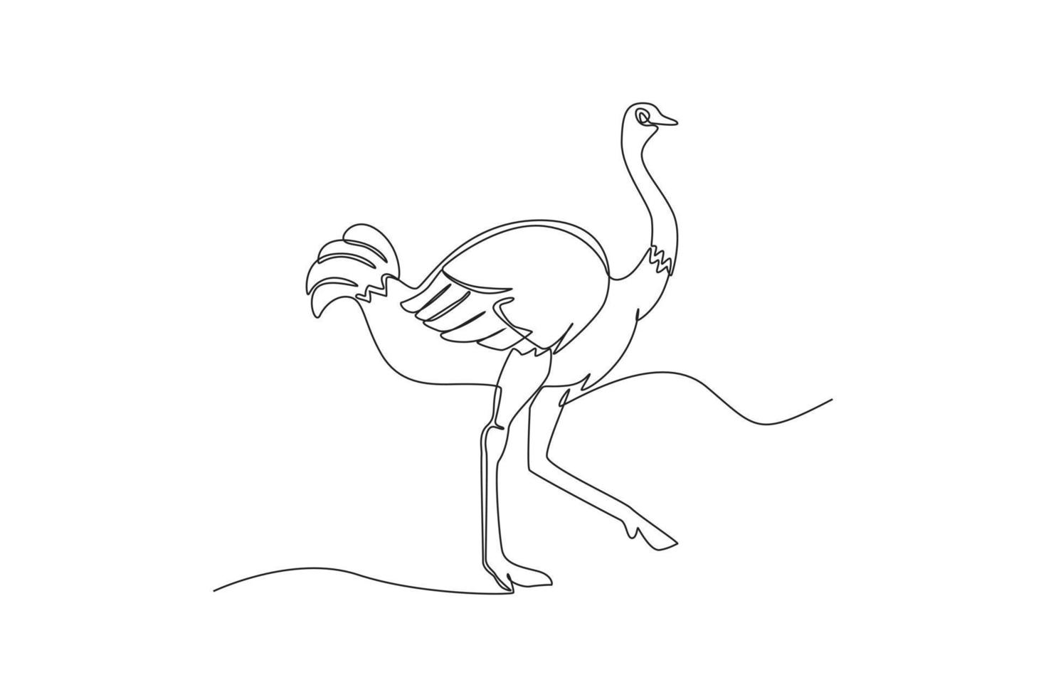 een doorlopend lijn tekening van een struisvogel. dier concept. single lijn trek ontwerp vector grafisch illustratie.