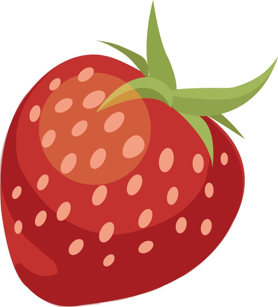 aardbei vectorillustratie vector