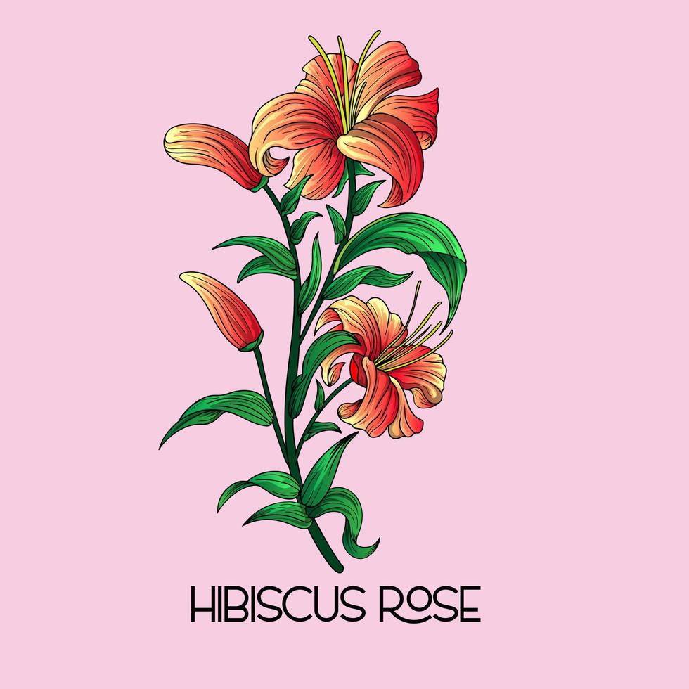 illustratie van tropisch hibiscus bloem. decoratief exotisch fabriek. bloemen Sjablonen met tuin bloeiend bloemen vector