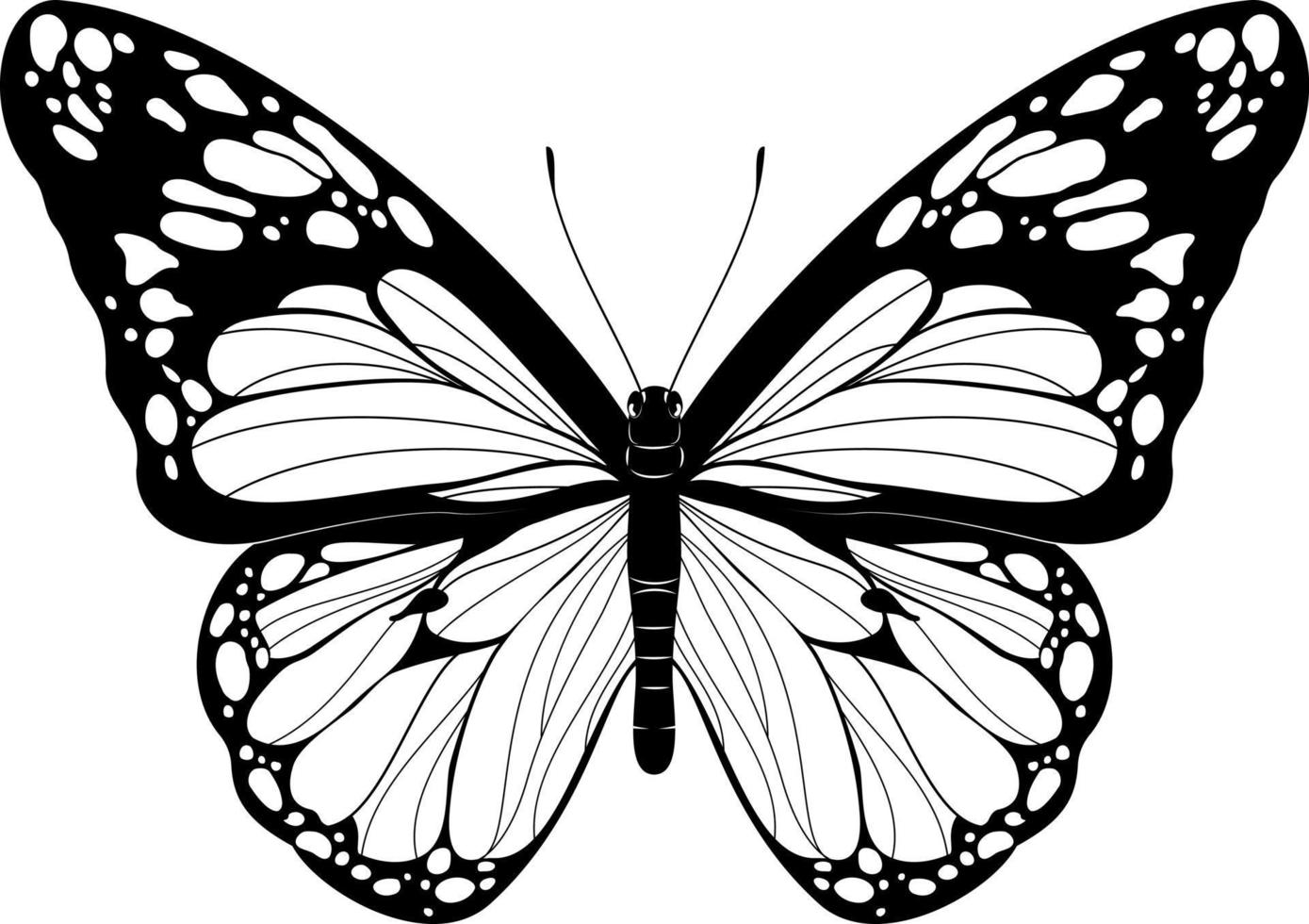 mooi vlinder zwart en wit vlinder vector illustratie realistisch hand- getrokken vlinder