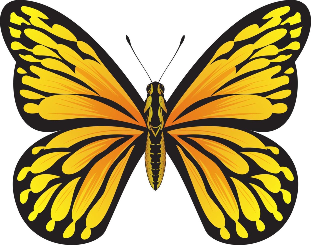 tropisch oranje vlinder - mooi vlinder vector illustratie