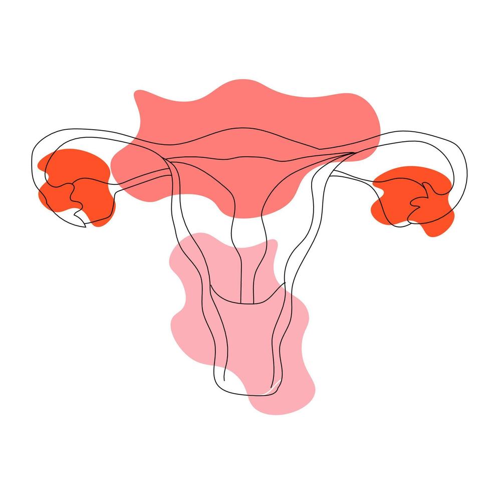 een doorlopend single tekening lijn kunst tekening Dames baarmoeder . geïsoleerd vlak illustratie hand- trek contour Aan kleur pagina vector