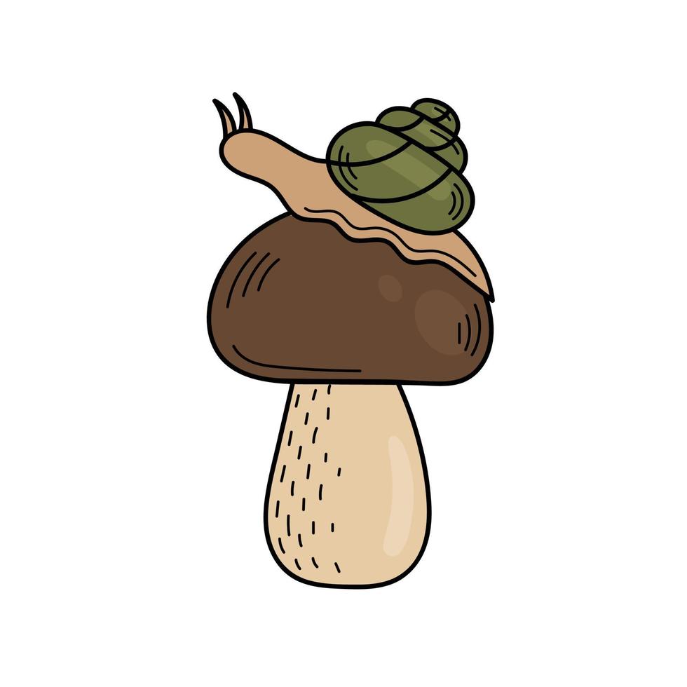 schattig eetbaar paddestoel in tekening stijl. ingrediënten voor Koken, salades. herfst fabriek oogsten. vector hand- illustratie