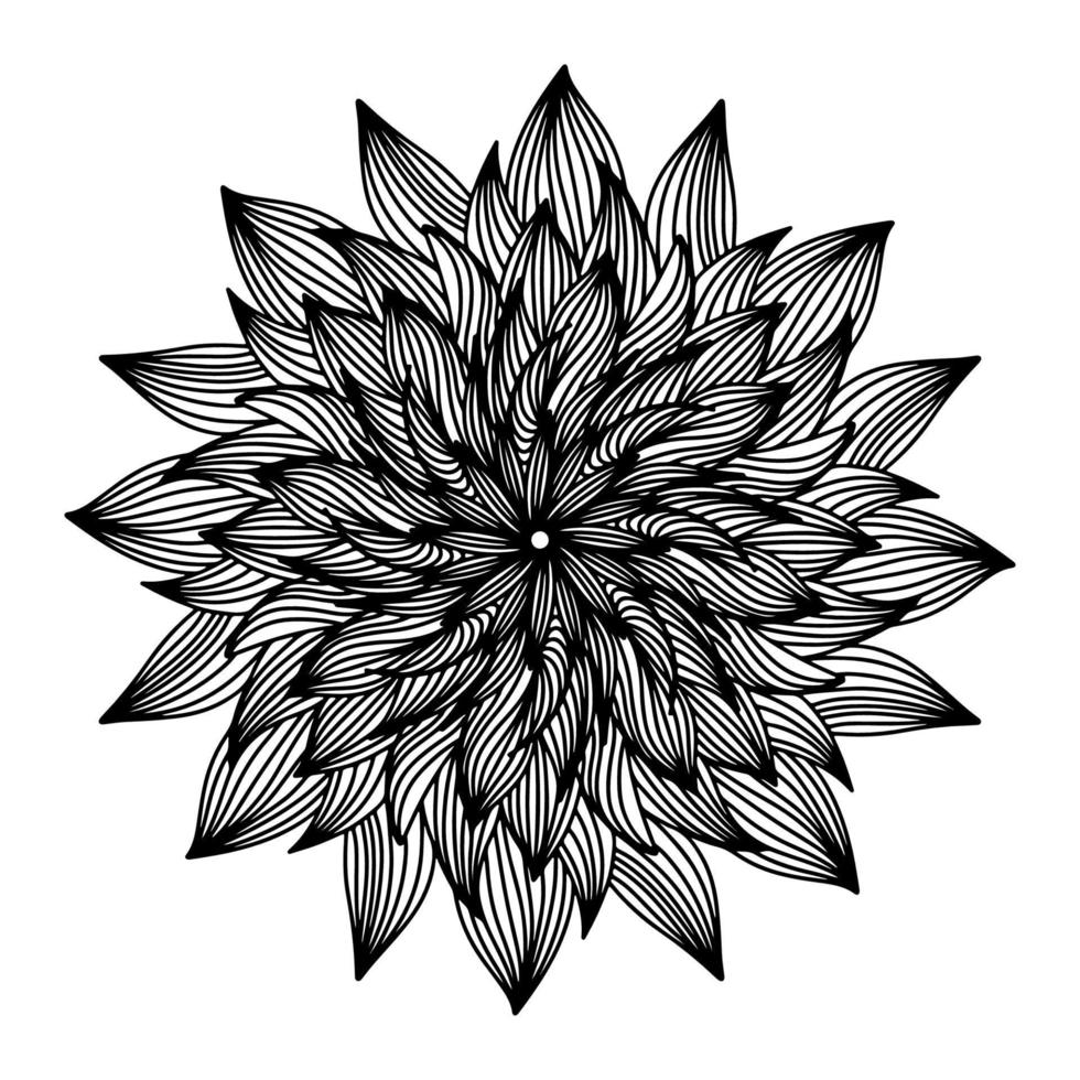 bloemen, hand- getrokken aster mandala bloemen in tekening stijl geïsoleerd Aan wit achtergrond. elegant kleur bladzijde voor seizoensgebonden ontwerp, textiel, decoratie kinderen speelkamer of groet kaart. chrysant. vector