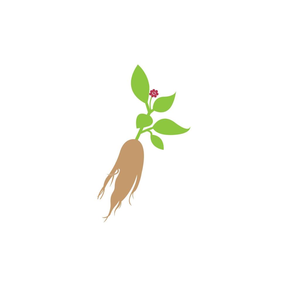 ginseng icoon draak logo achtergrond, vector illustratie sjabloon ontwerp