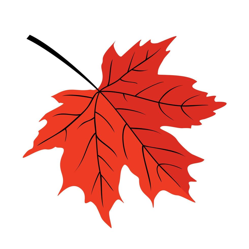 rood esdoorn- blad met strepen. vector