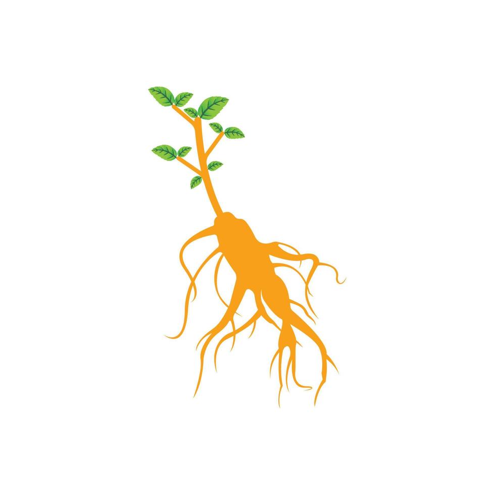 ginseng icoon vector illustratie symbool ontwerp