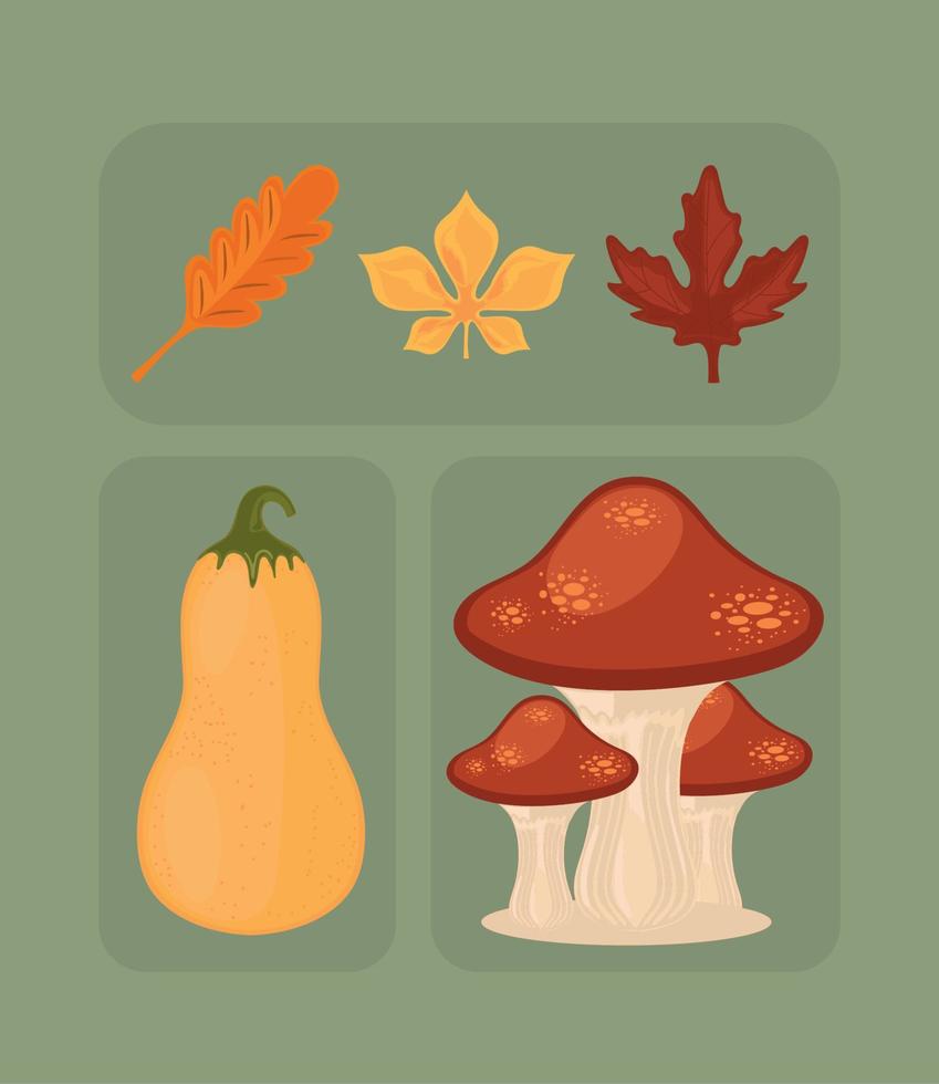 set van de herfst vector