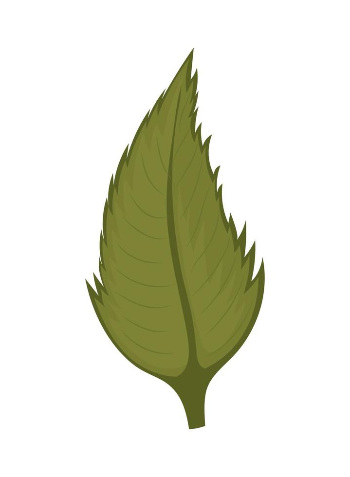 groene bladaard vector