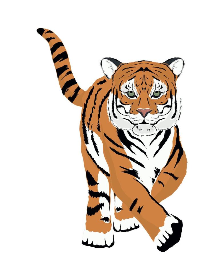 gevaarlijk tijger dier vector