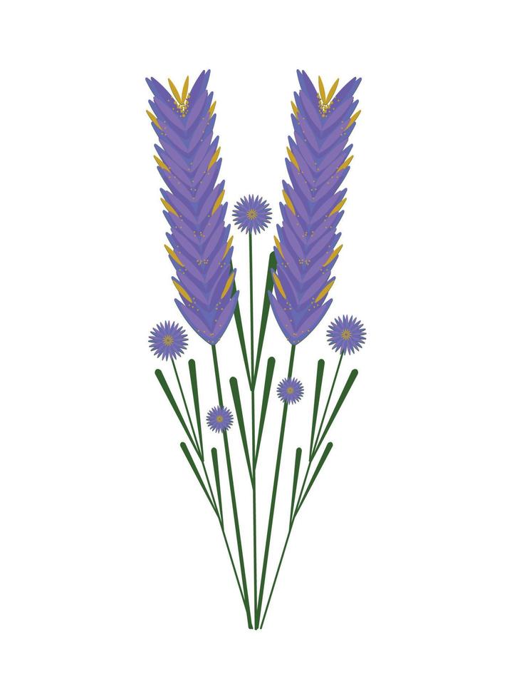 Purper bloemen natuur vector