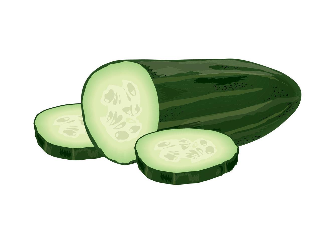 komkommer groente icoon vector