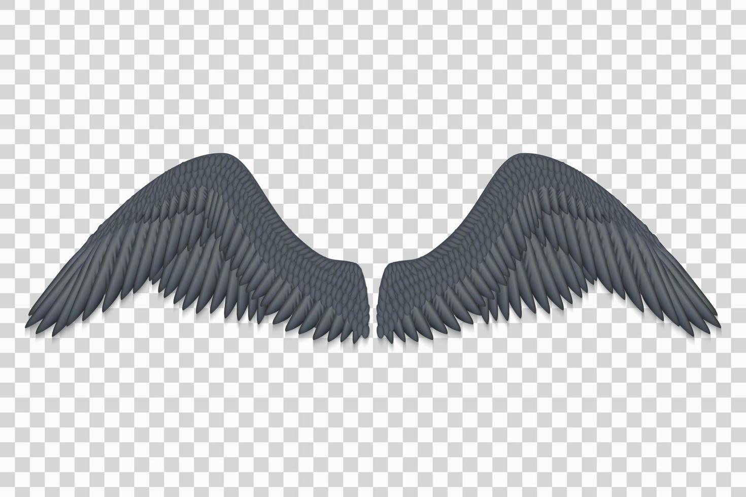 zwart engel Vleugels vector