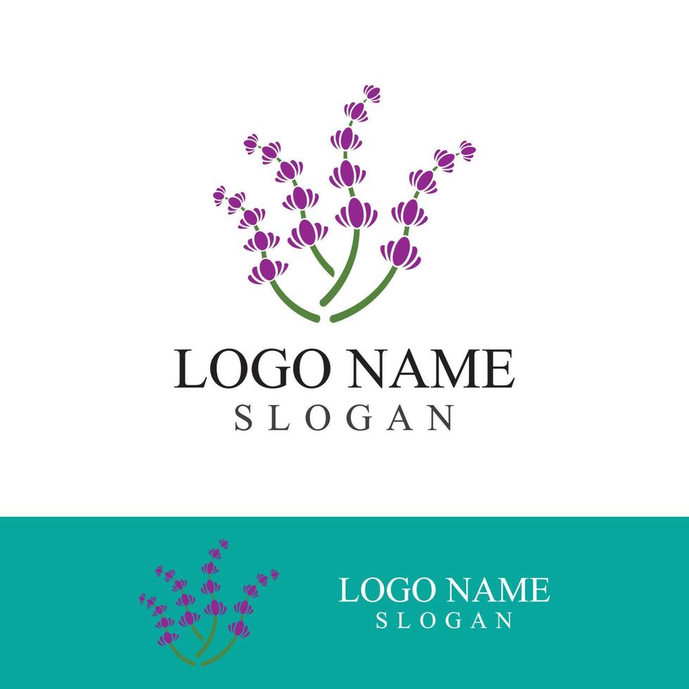 verse lavendel bloem logo vector