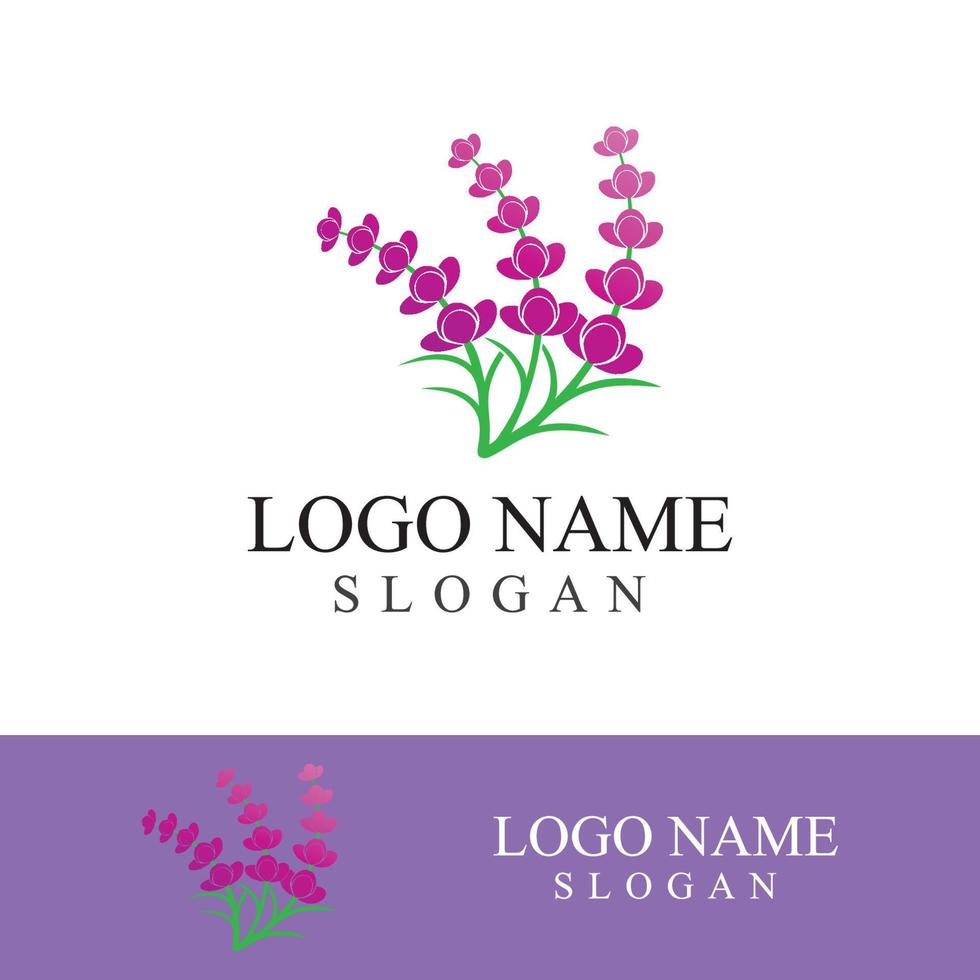 verse lavendel bloem logo vector