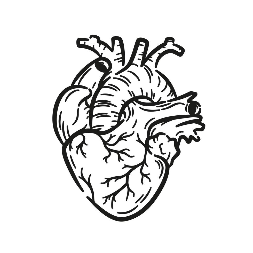 zwart en wit hart lijn kunst illustratie vector