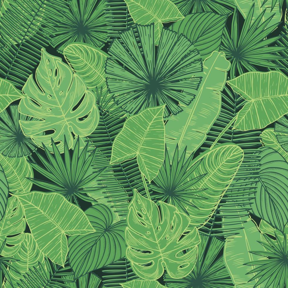 vector naadloos patroon met tropisch bladeren. oerwoud exotisch achtergrond.