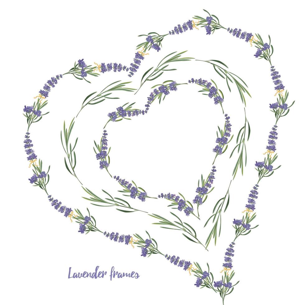 reeks paars lavendel mooi bloemen kaders sjabloon in vector waterverf stijl geïsoleerd Aan wit achtergrond voor decoratief ontwerp, bruiloft kaart, uitnodiging, reizen fladder. botanisch illustratie