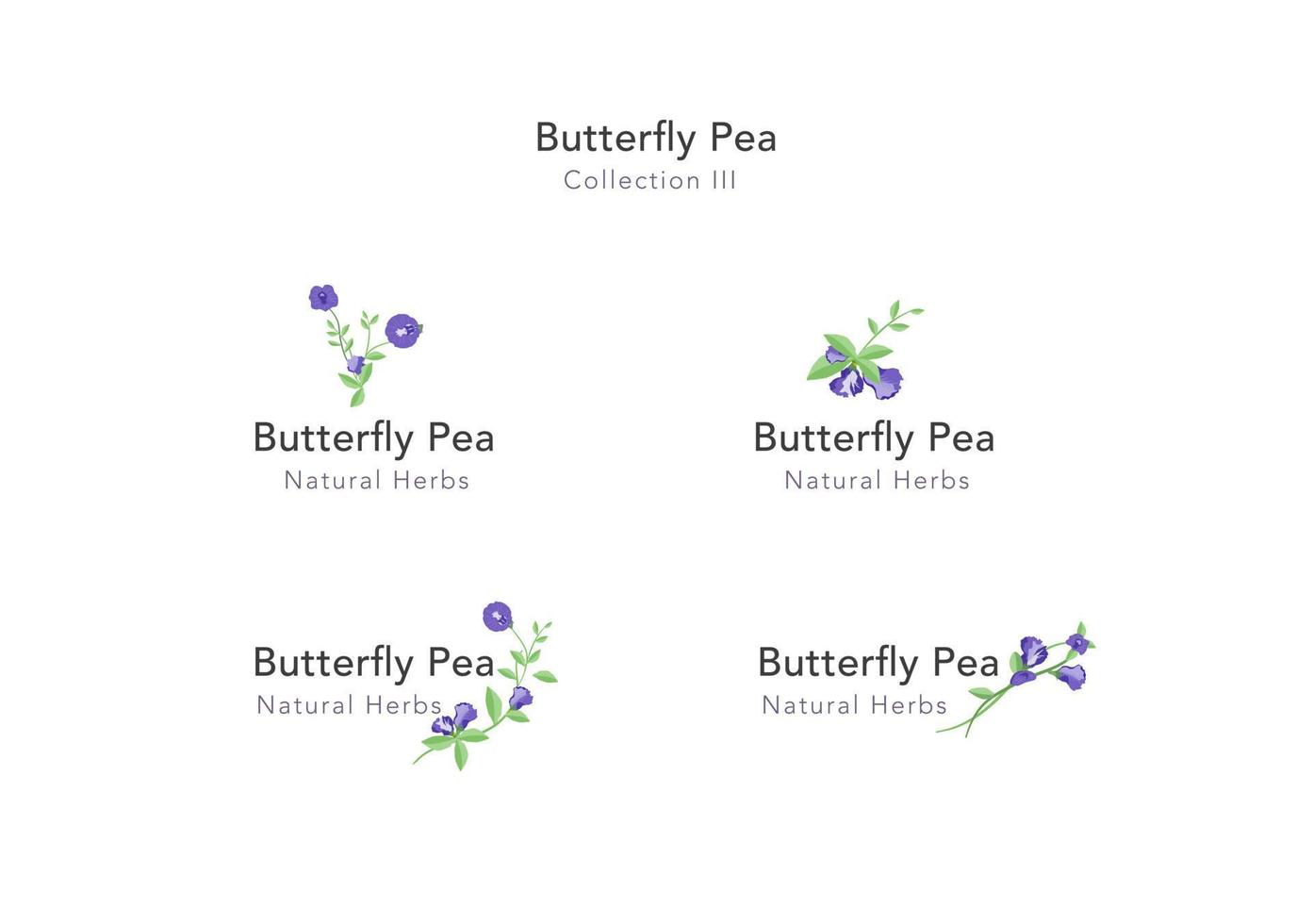 verzameling van vlinder erwt bloemen vector