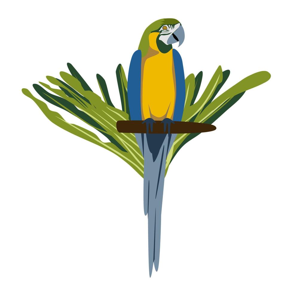 tropisch hand- getrokken kleurrijk ara papegaaien met blad achtergrond. ara papegaai. vector illustratie geïsoleerd Aan wit achtergrond.