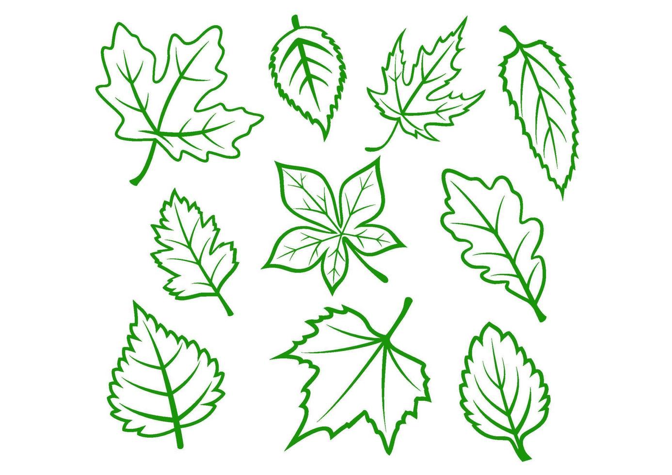 groene bladeren set vector