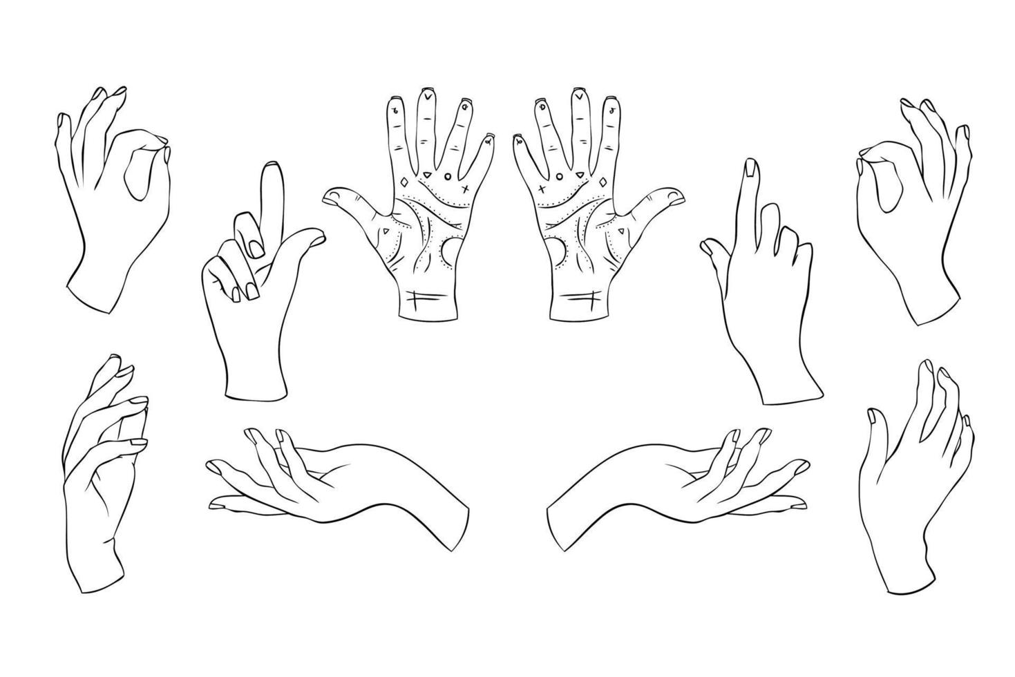 reeks lineair silhouet van een elegant vrouw of heks hand. mystiek bewegingen van de houding van de vingers. vector illustratie