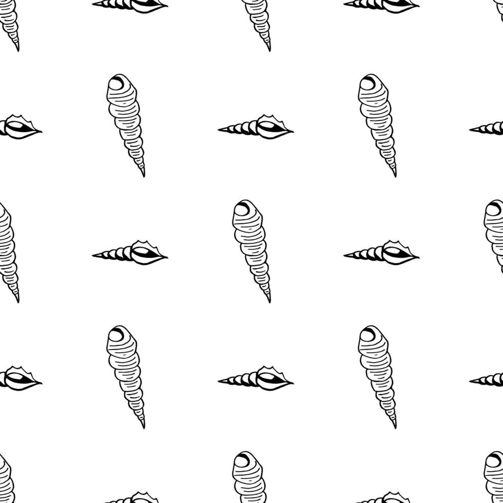 naadloos patroon met weinig zwart en wit zee schelpen Aan wit achtergrond. vector afbeelding.