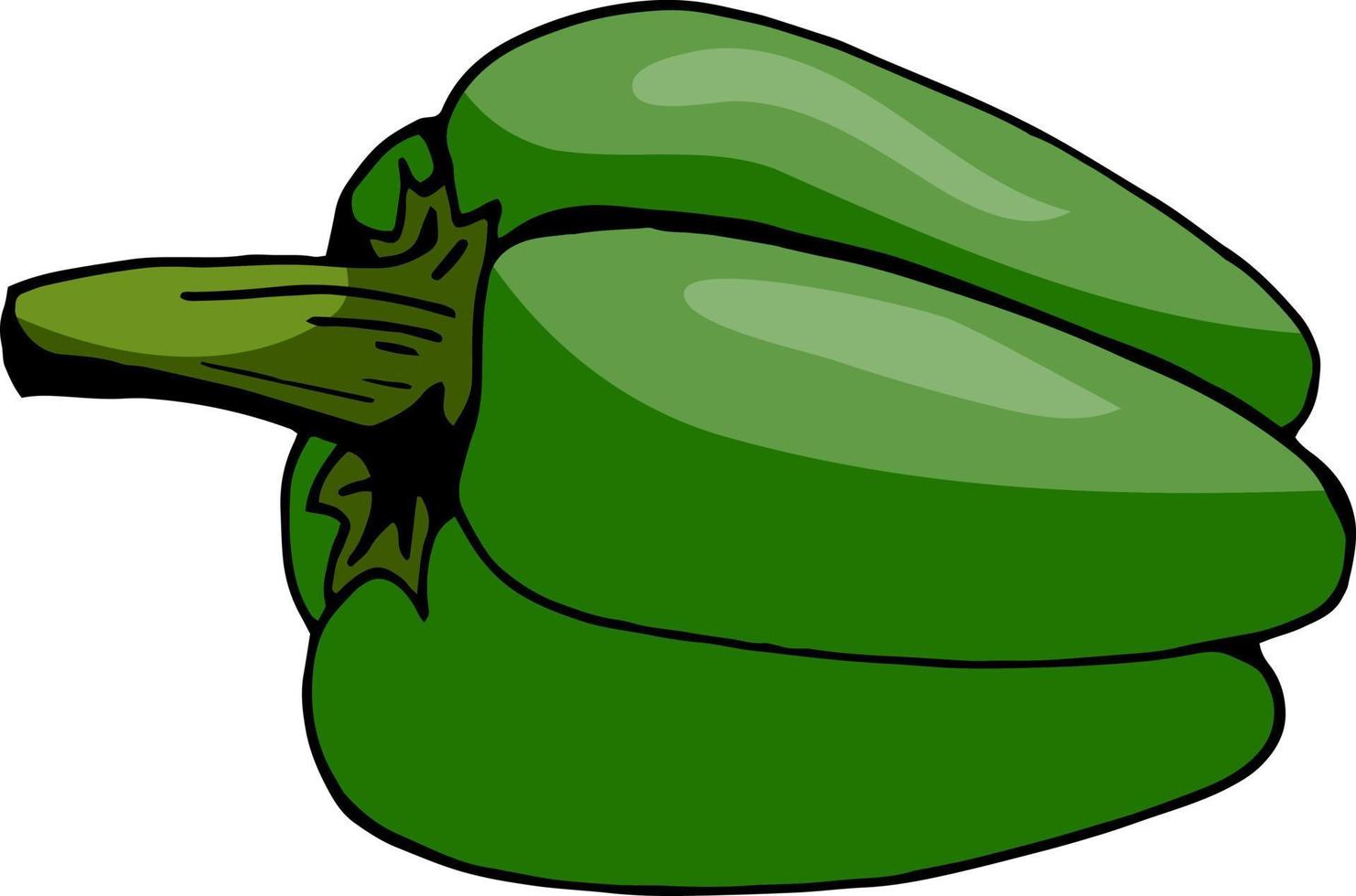 groen peper Aan wit achtergrond. vector afbeelding.