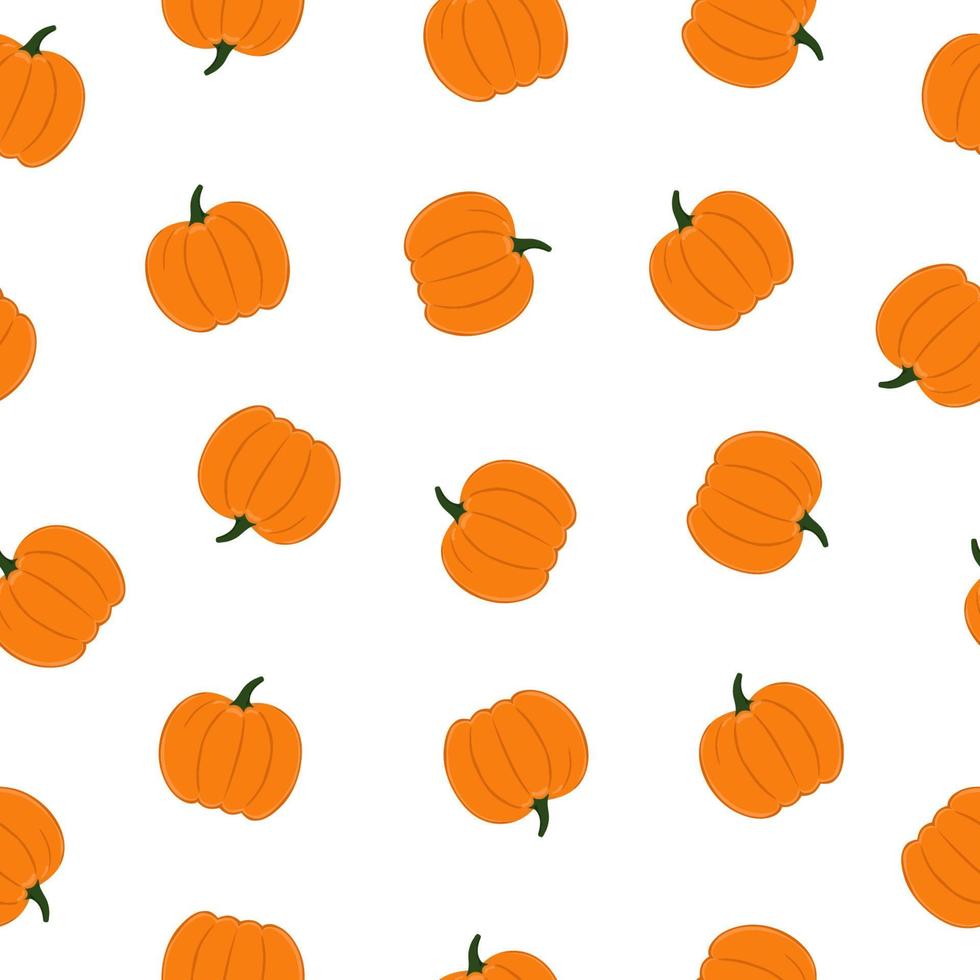 naadloos patroon van pompoenen Aan wit achtergrond. achtergrond voor herfst decoratief ontwerp vector