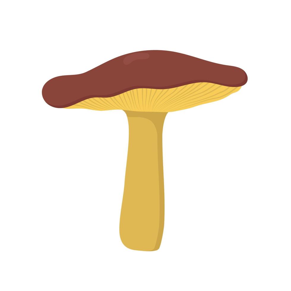 kleurrijk tekening champignons. vlak ontwerp. geïsoleerd vector illustratie.