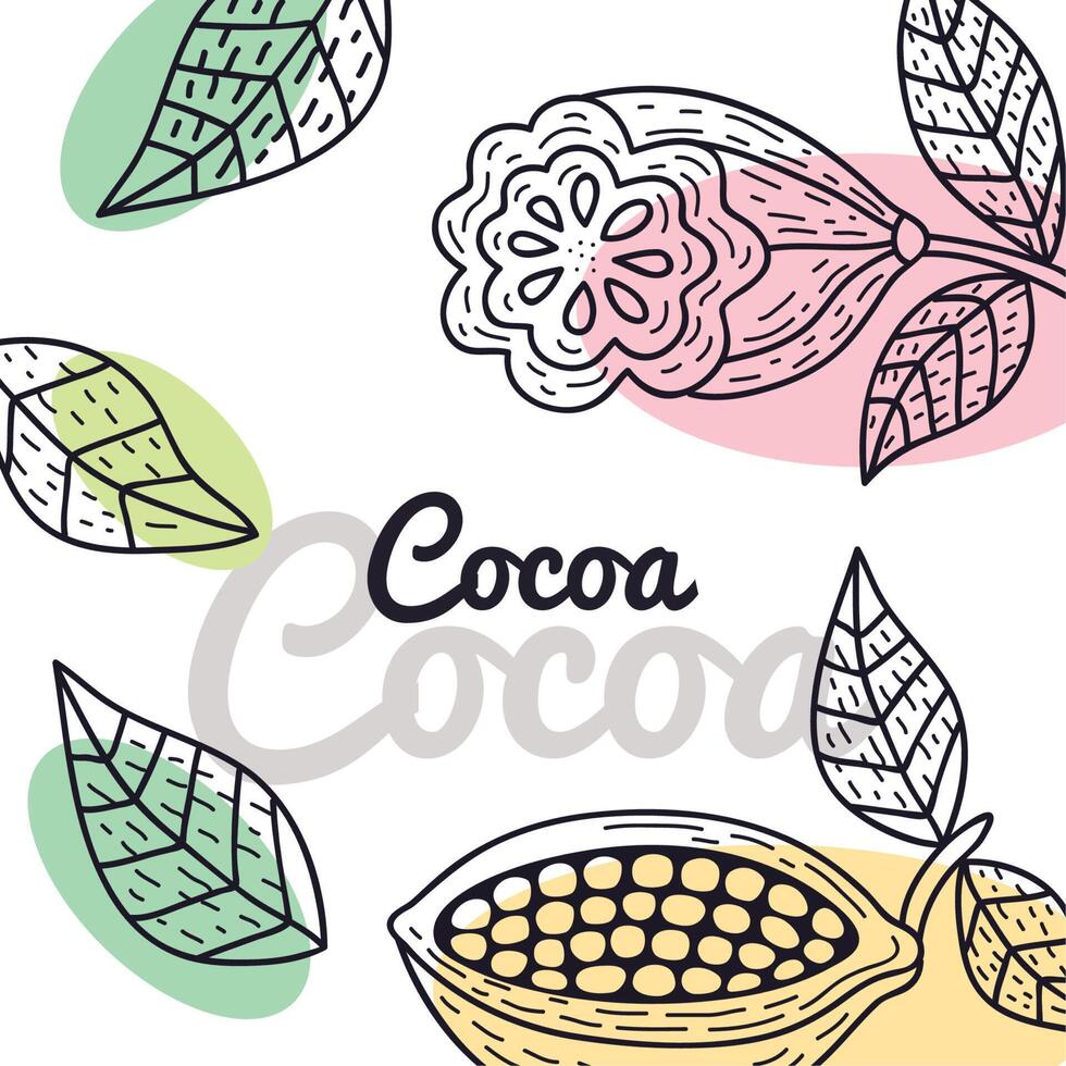 cacao belettering kader vector