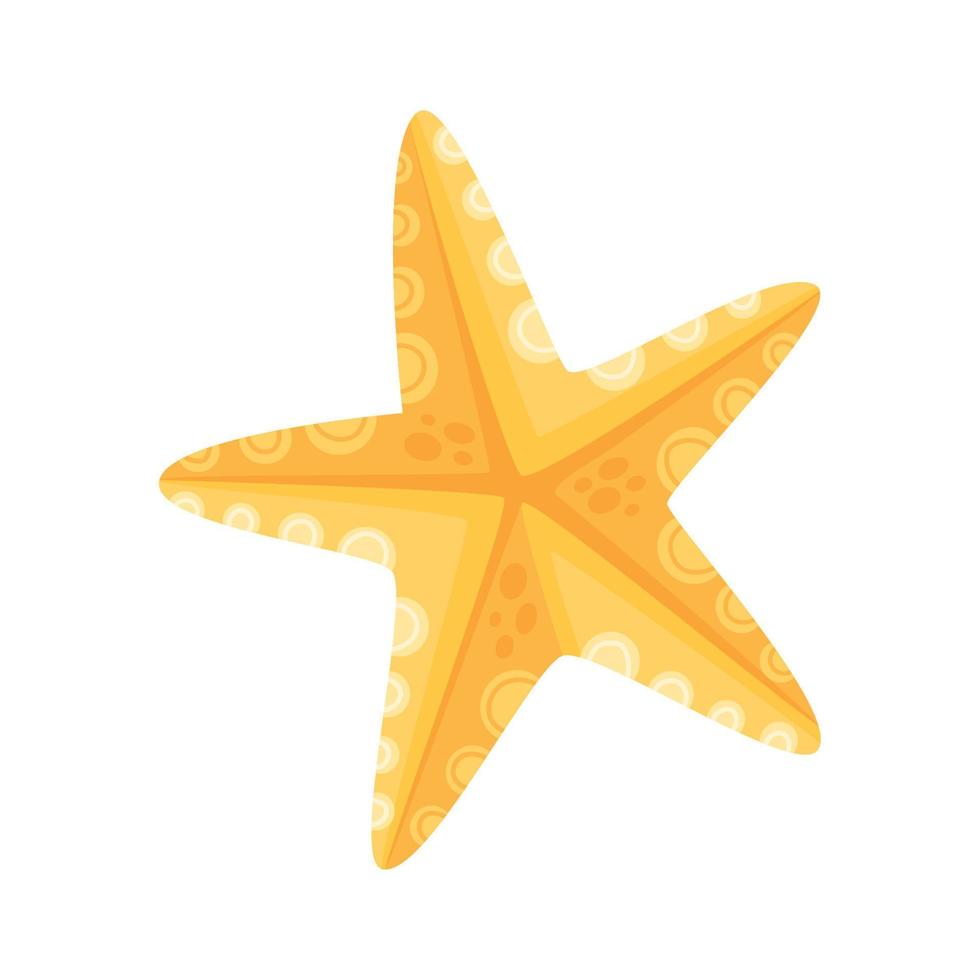 geel zeester zeeleven vector
