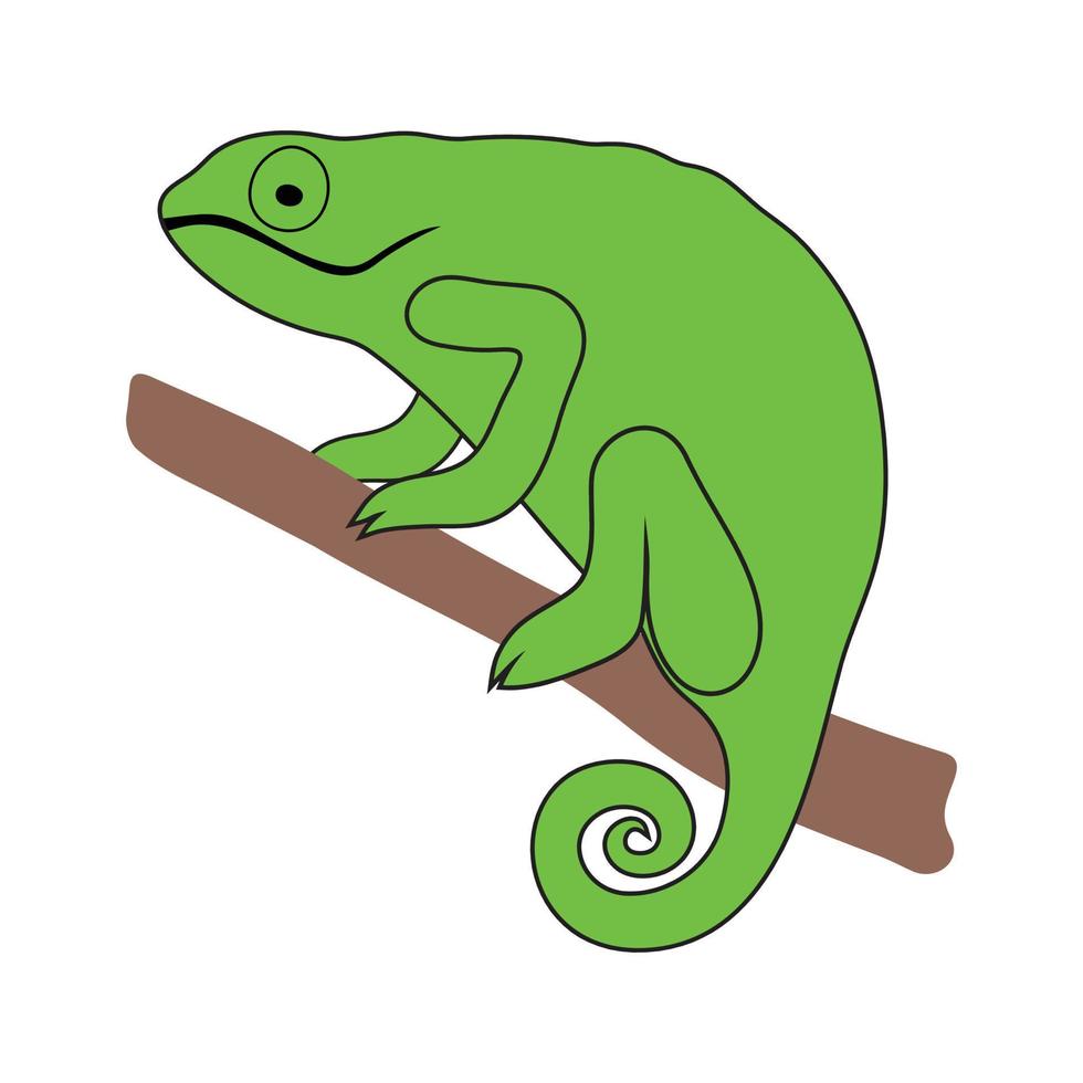 groene kameleon op een tak vector