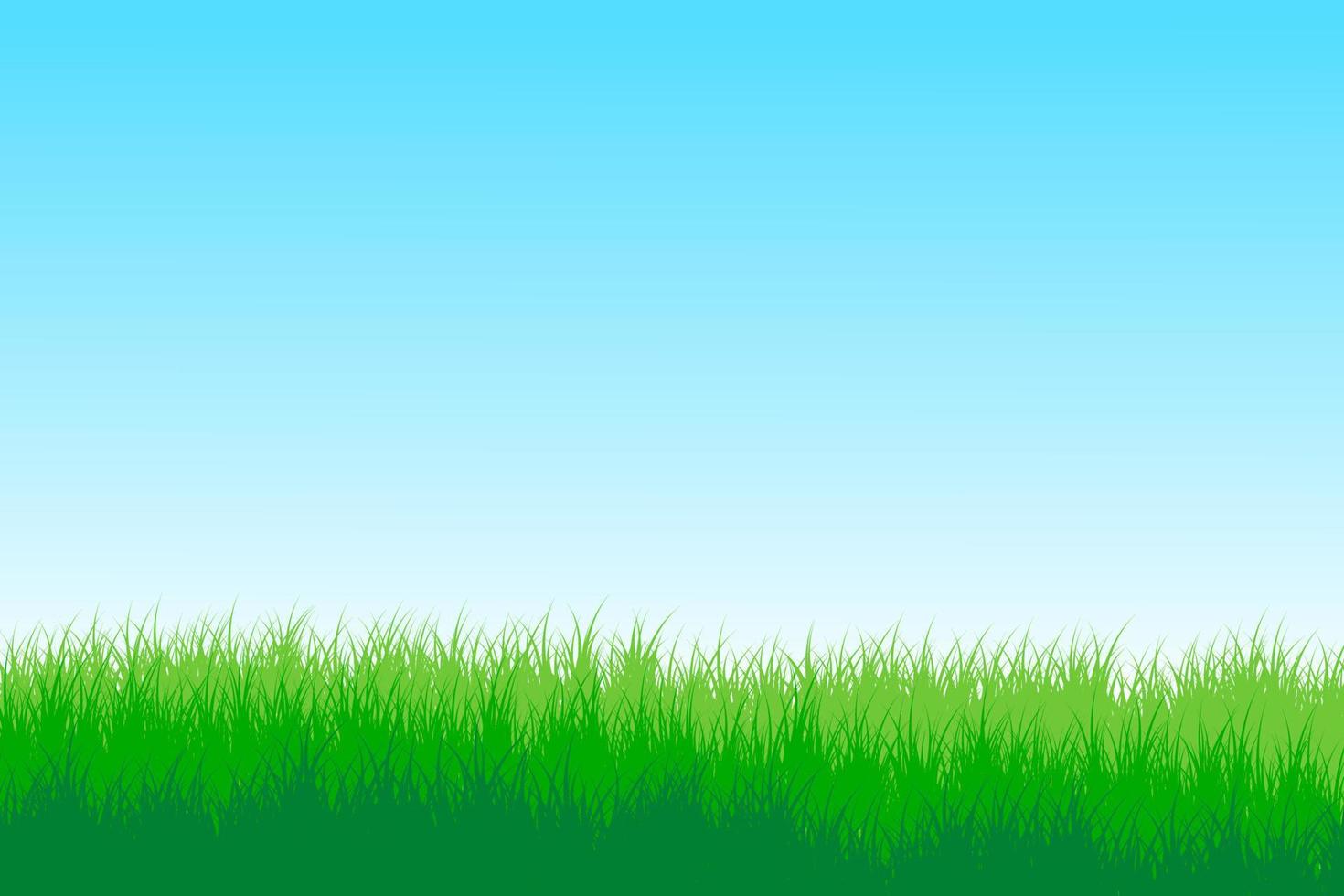 grasland. weide gras met blauw lucht achtergrond vector