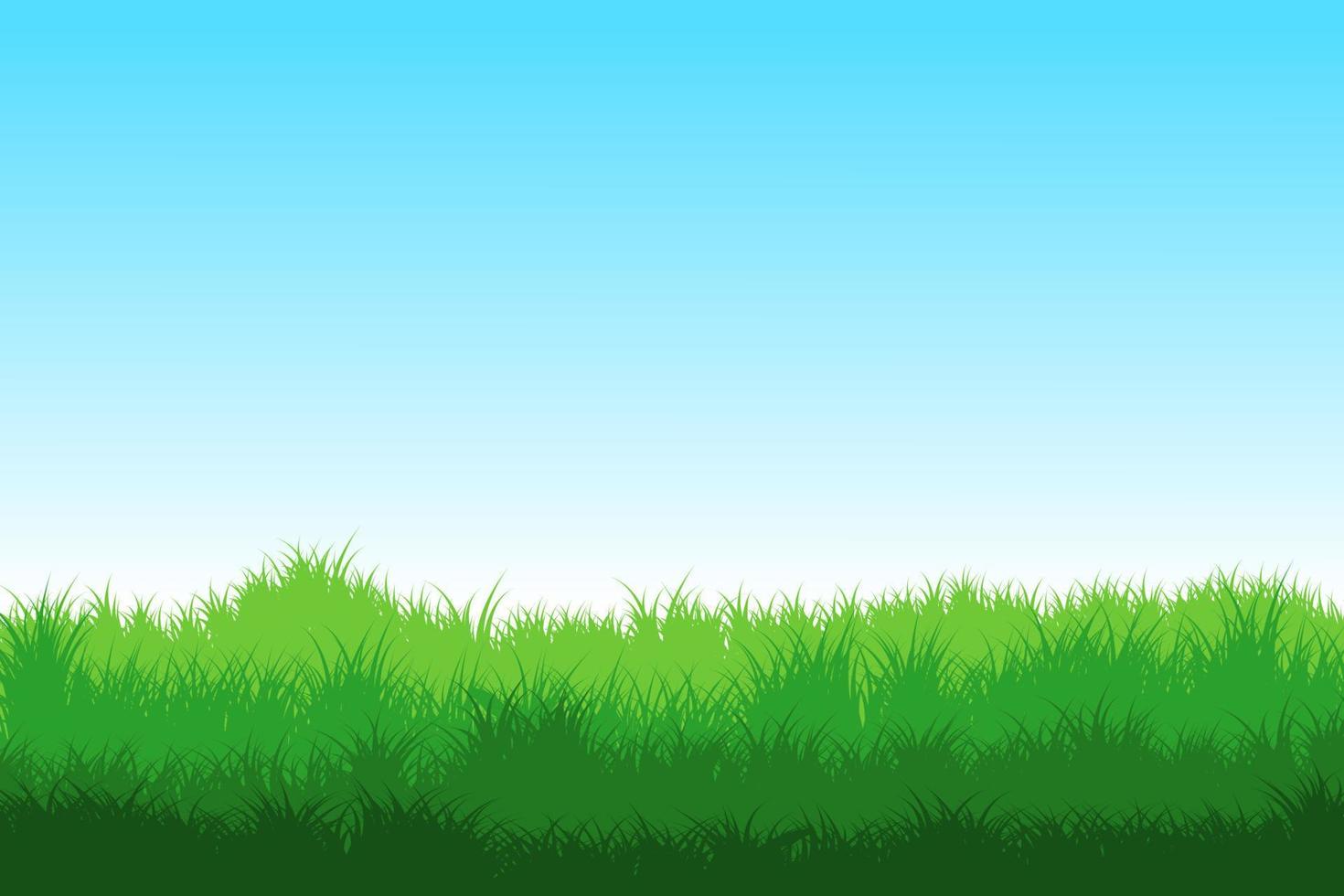 gras veld. gras achtergrond vector